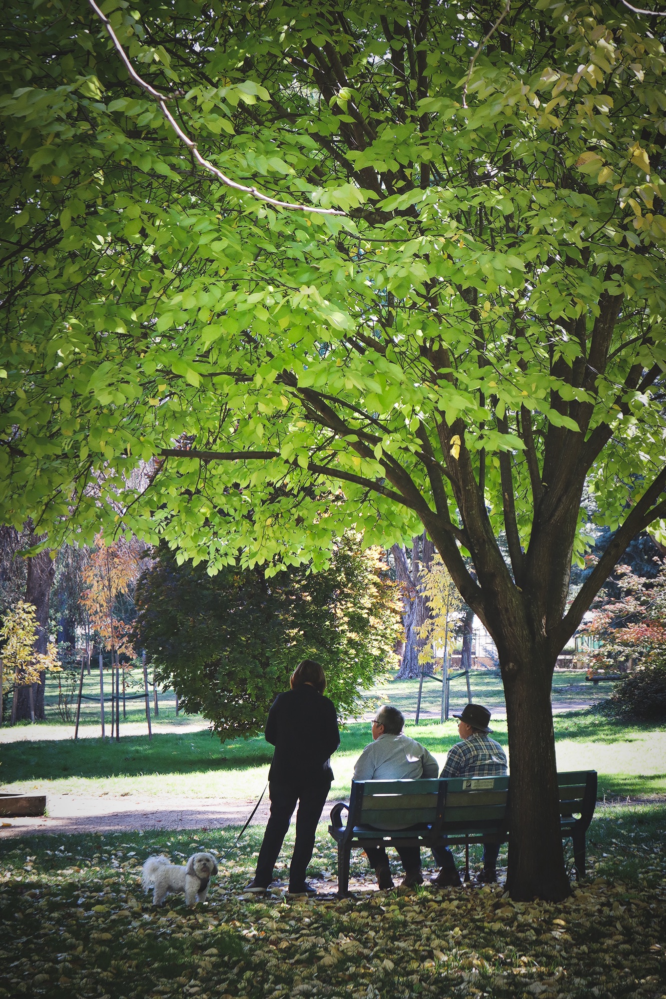 A day in the park.