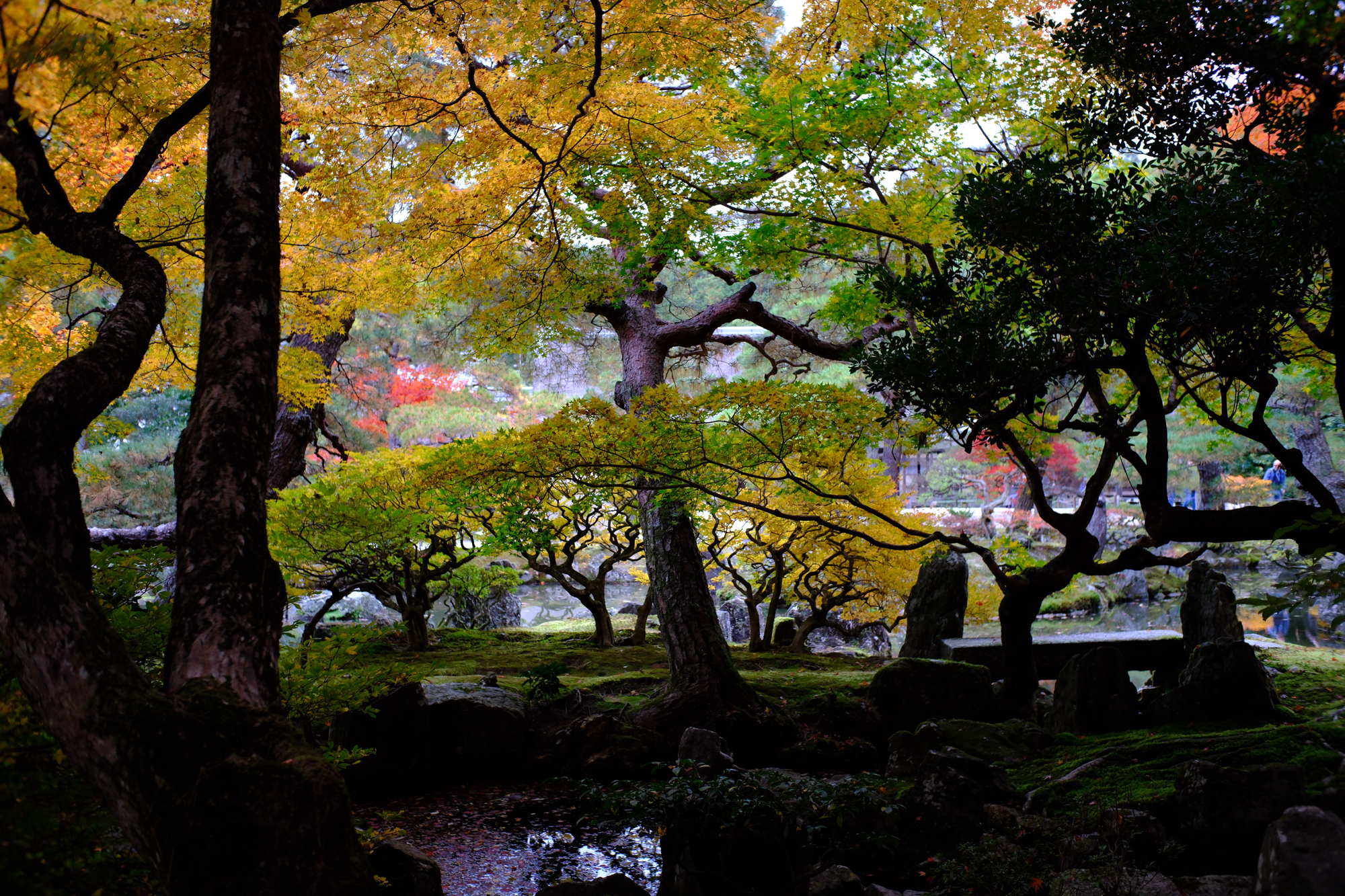Kyoto. Day 3.