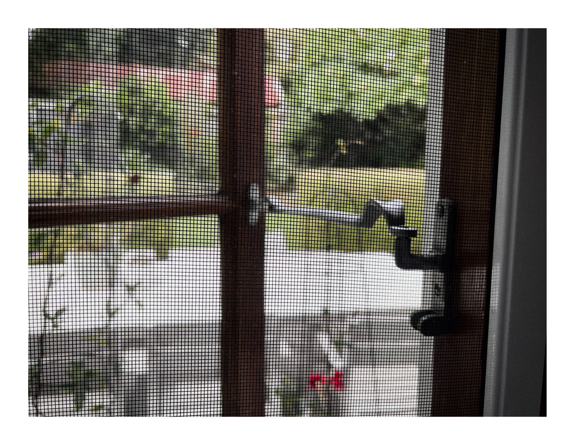The window.