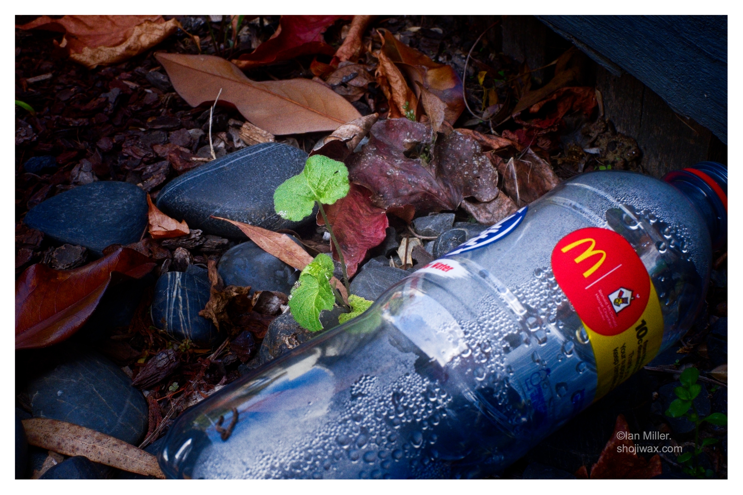 Greenwashing the plastic?