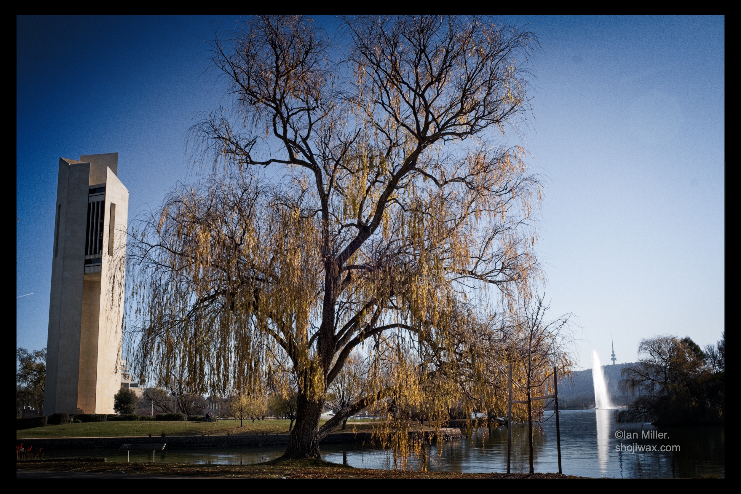 3 Canberra icons. One shot.