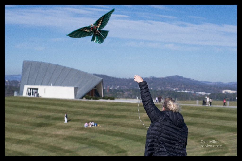 Lady wearing black puffer jacket in foreground. Flying a bird shaped kite.