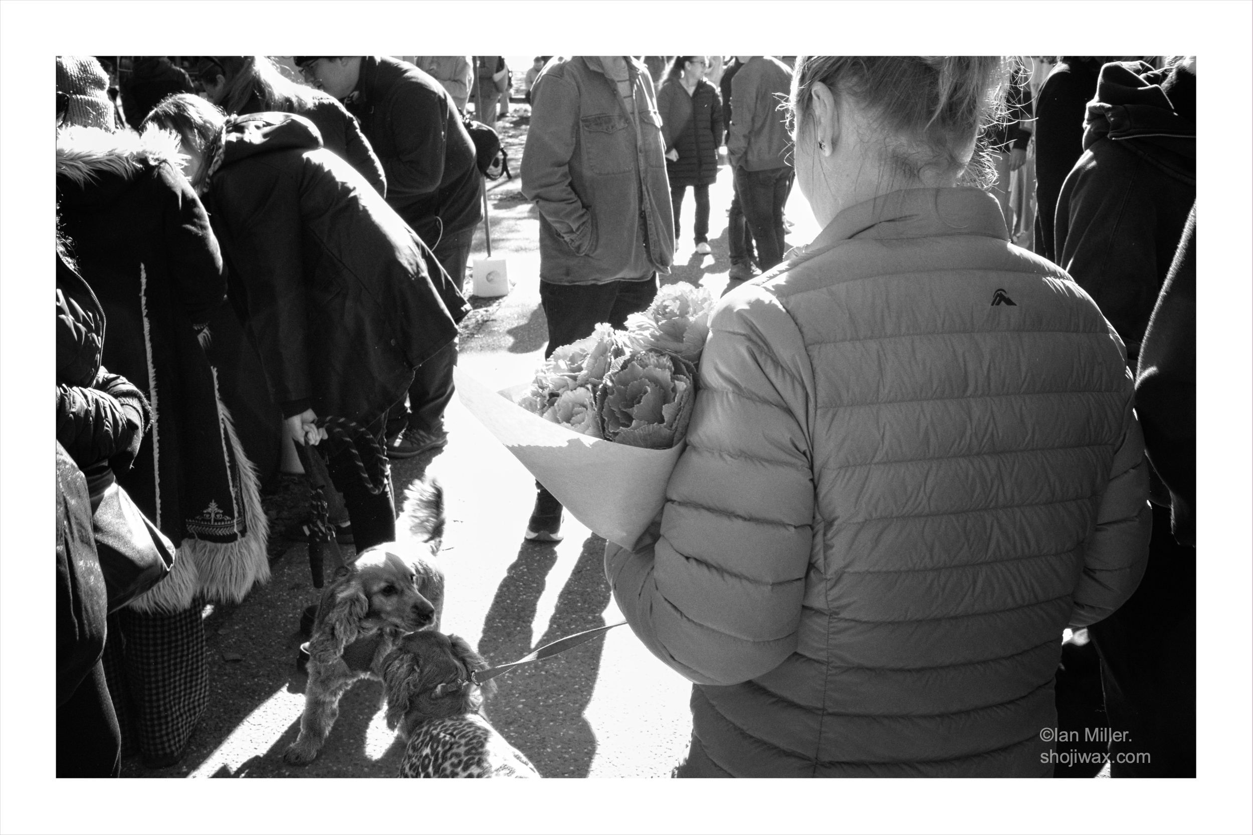 She bought flowers for him.