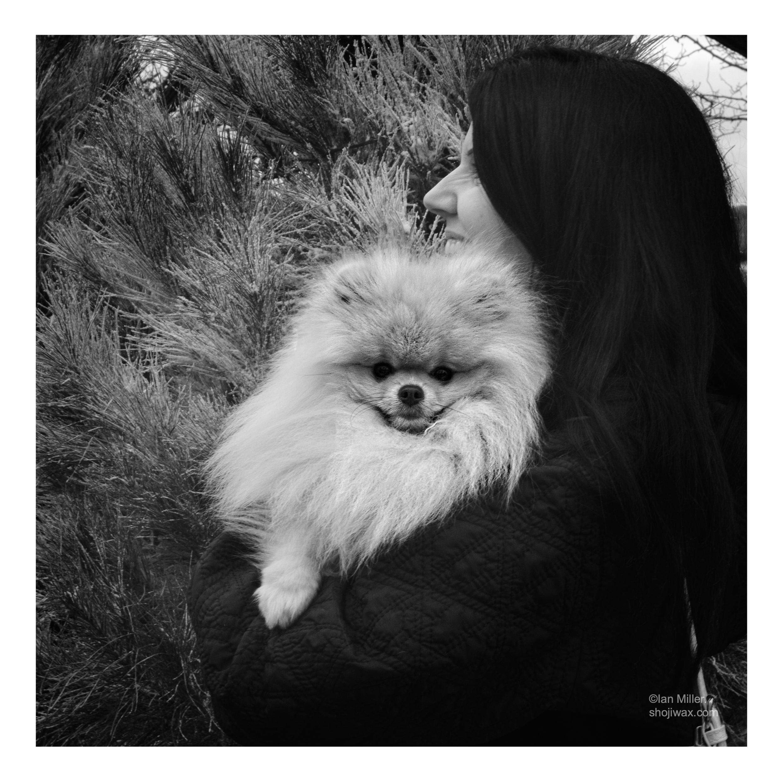 Black and white photo of a lady dressed in black holding a small dog that is looking directly at the camera.