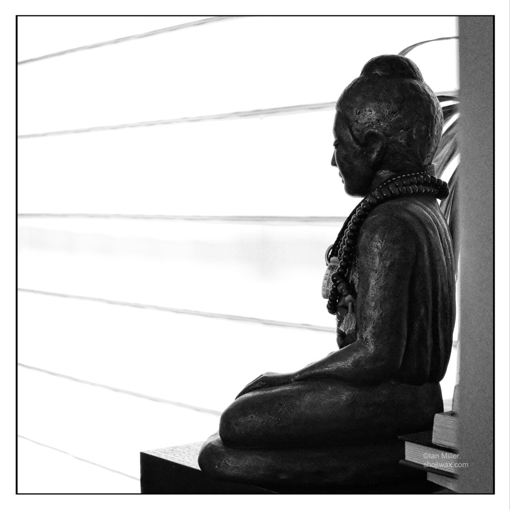 Black and white photo of buddha statue in silhouette against white curtains.