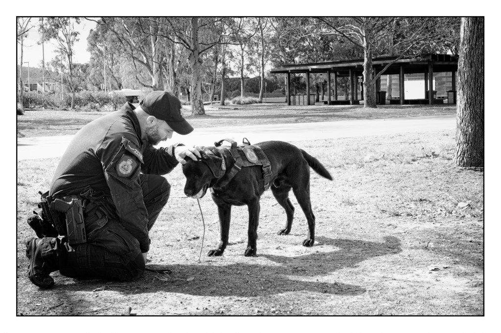 Black and white photo of police officer kneeling and patting his service dog.
