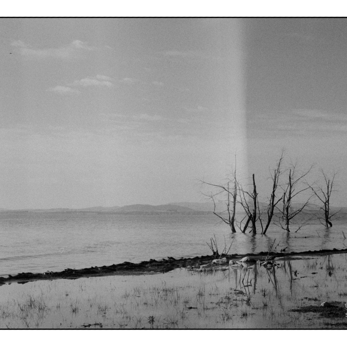 Australia 2050. Climate&nbsp;catastrophe.