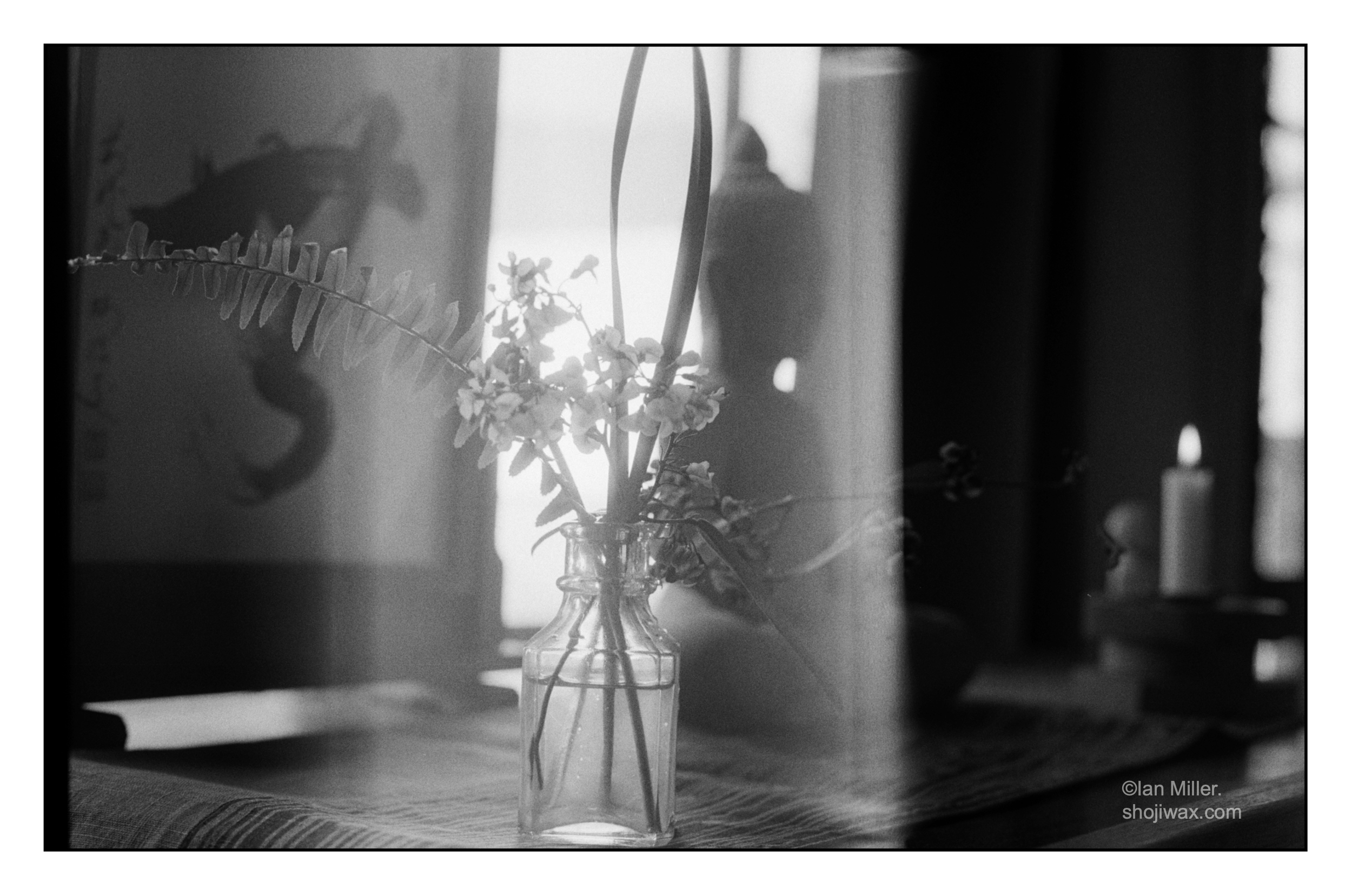 Black and white film photo of small buddhist alter with vase of flowers and buddha in the background. There is a substantial light leak across the photo.