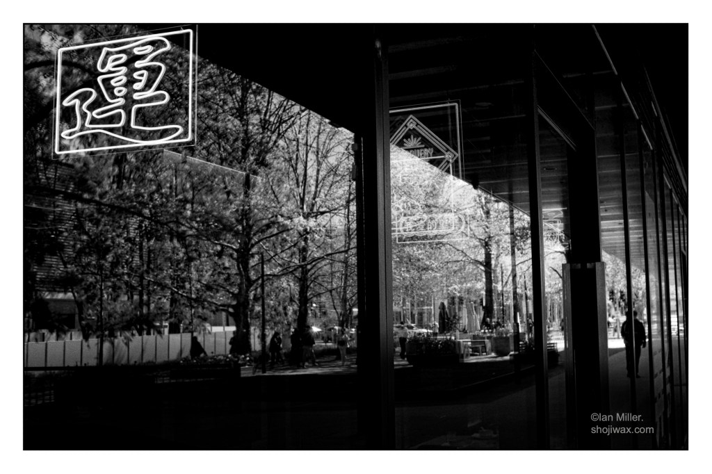 Black and white photo of tree lined city walk reflected in a building. Neon signs can be seen from within.