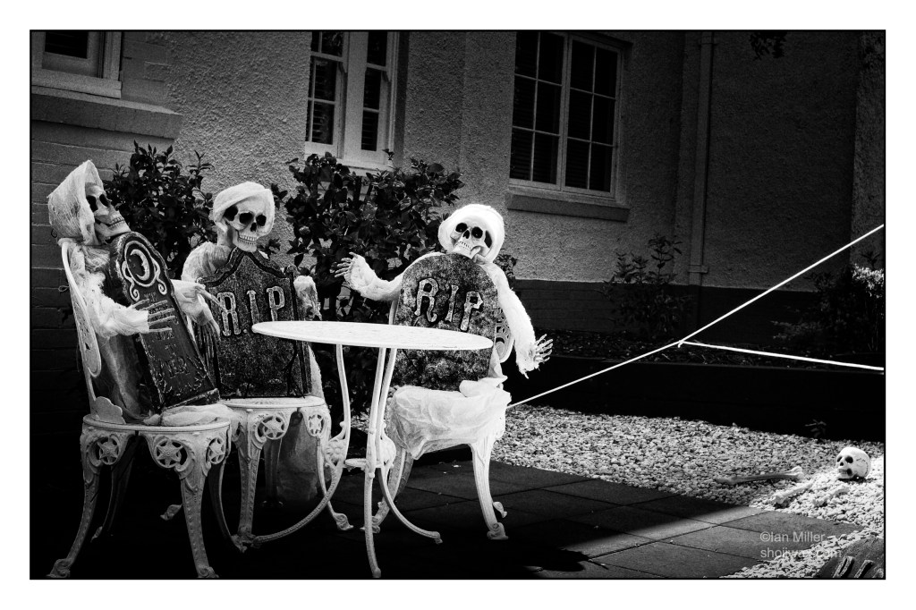 Black and white high contrast photo of three halloween skeletons sitting at outdoor garden table. There is a skull resting on the ground nearby.