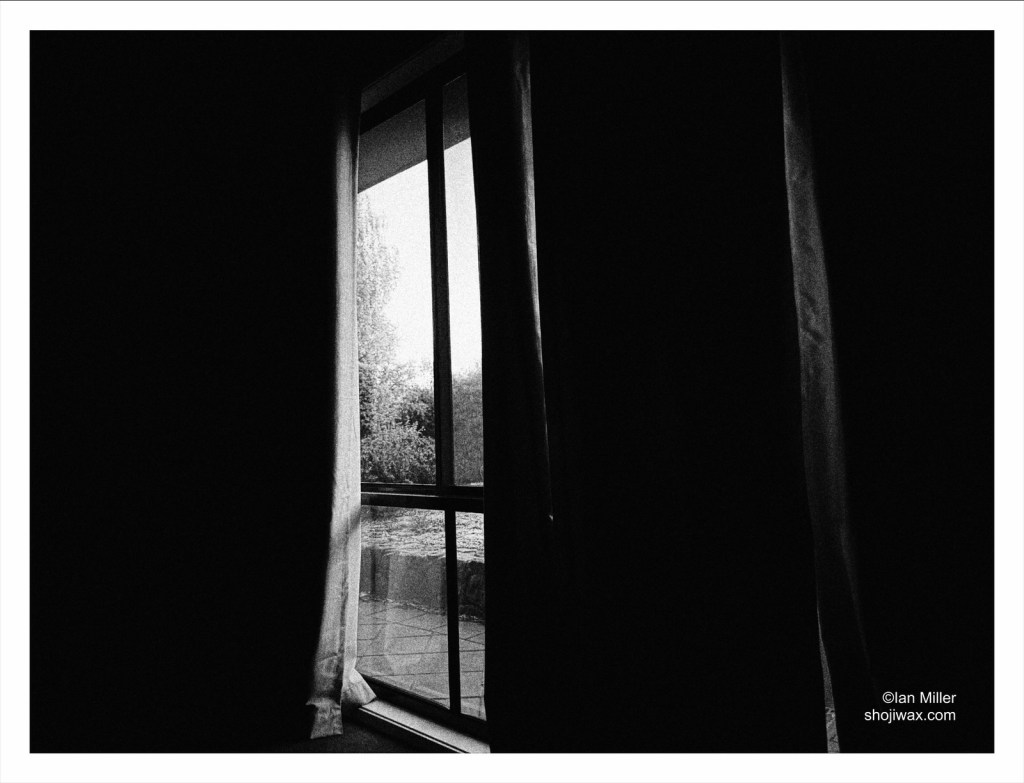 Black and white photo of morning outside garden glimpsed through a gap in the curtains.