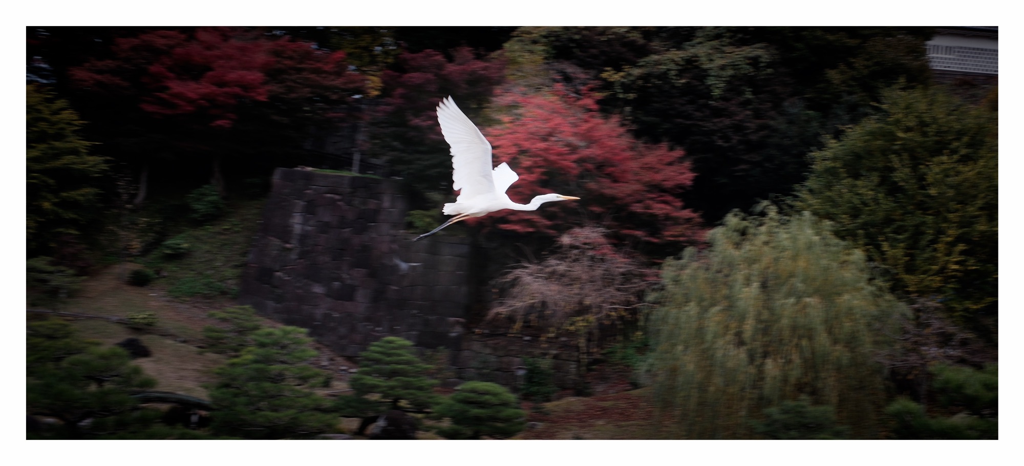 Flight.