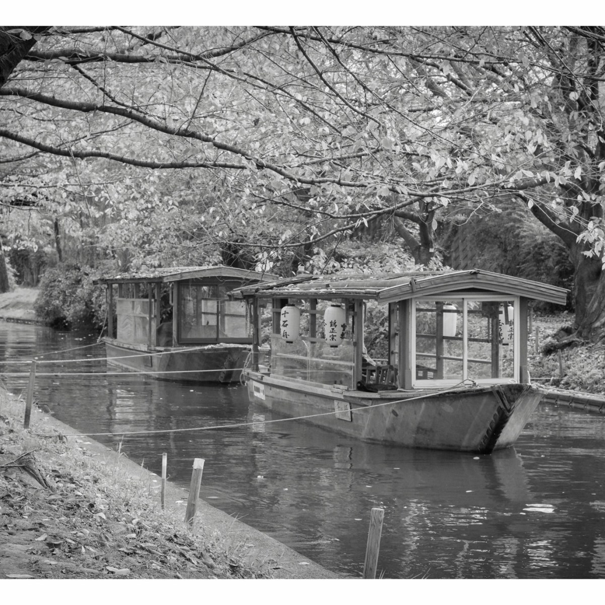 How to become a magnificent photographer without really&nbsp;trying.