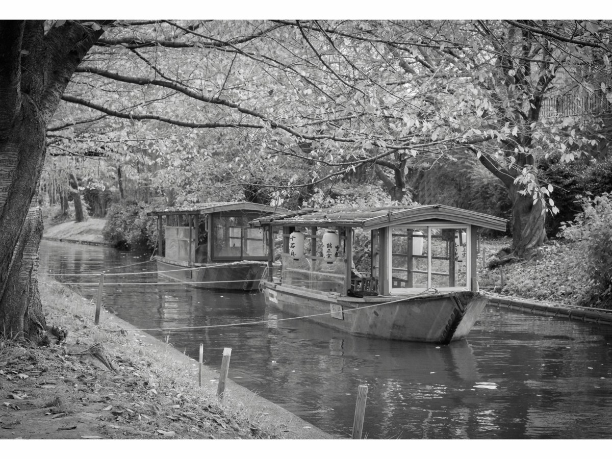 How to become a magnificent photographer without really&nbsp;trying.