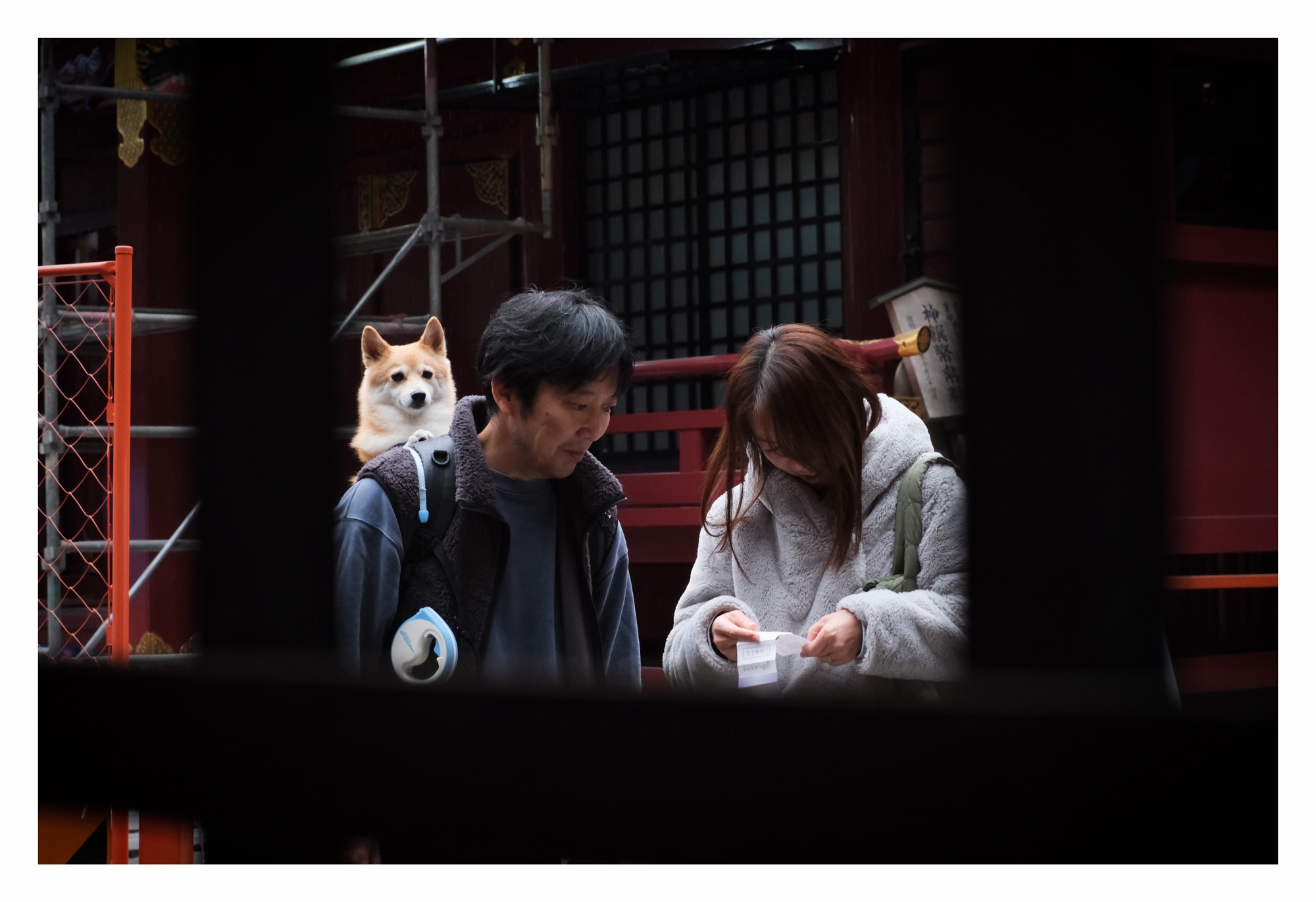 A man and woman are leaning in looking at a ticket. The man has a dog in his backpack that is looking toward the camera.