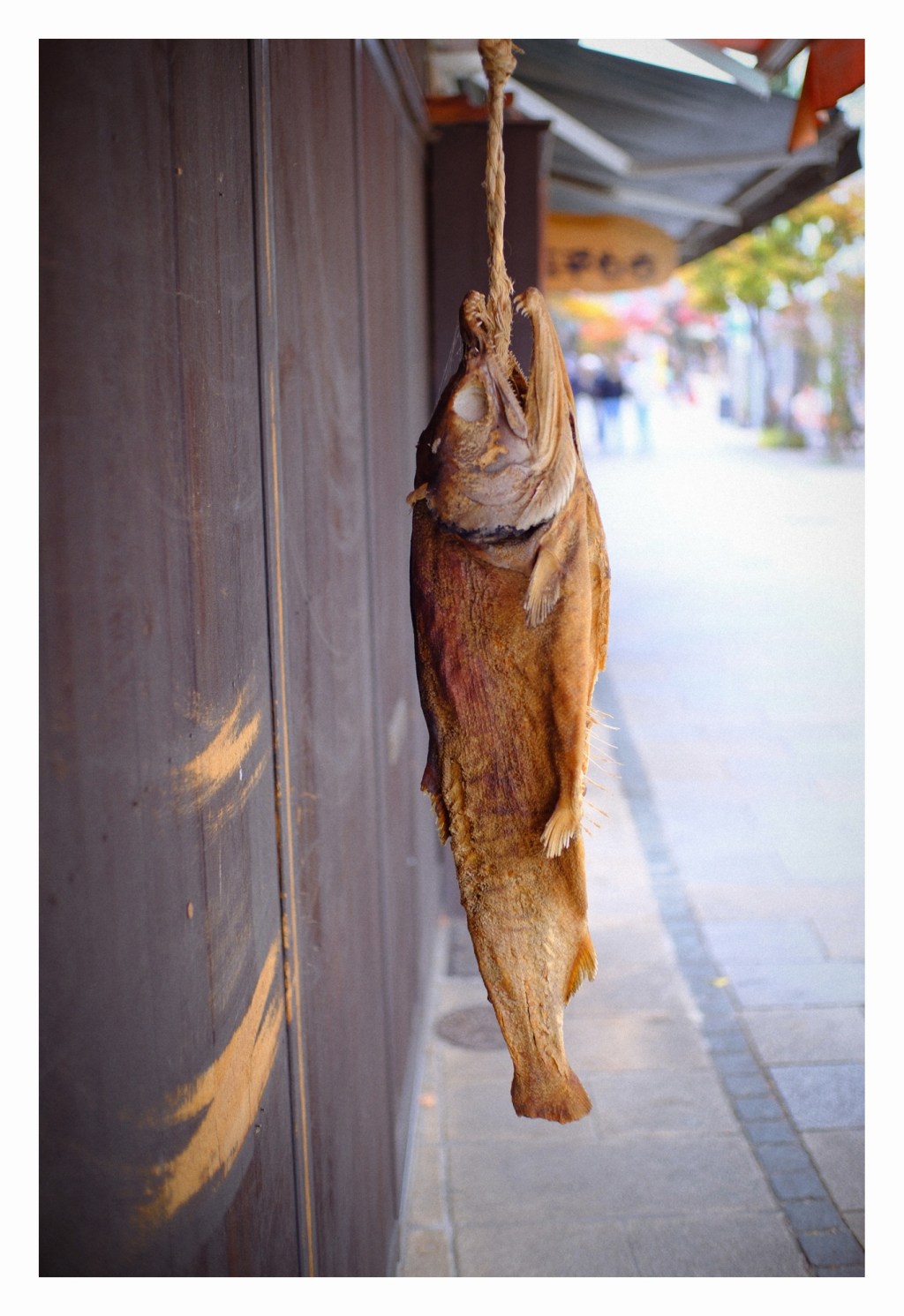 I have so many&nbsp;questions.