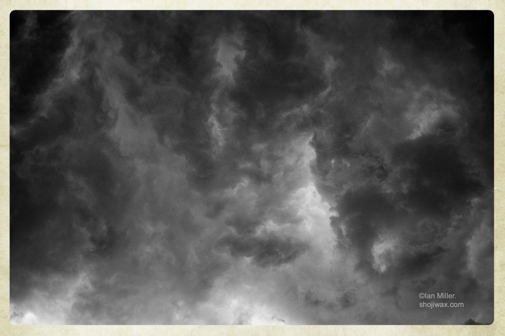 The suchness of things&nbsp;inspected.