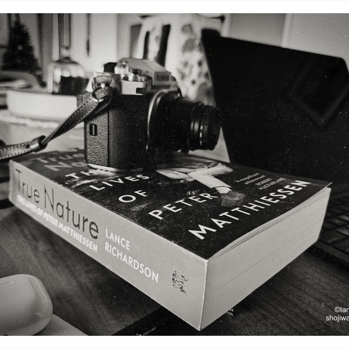 Feedback poll: do you read my&nbsp;posts?