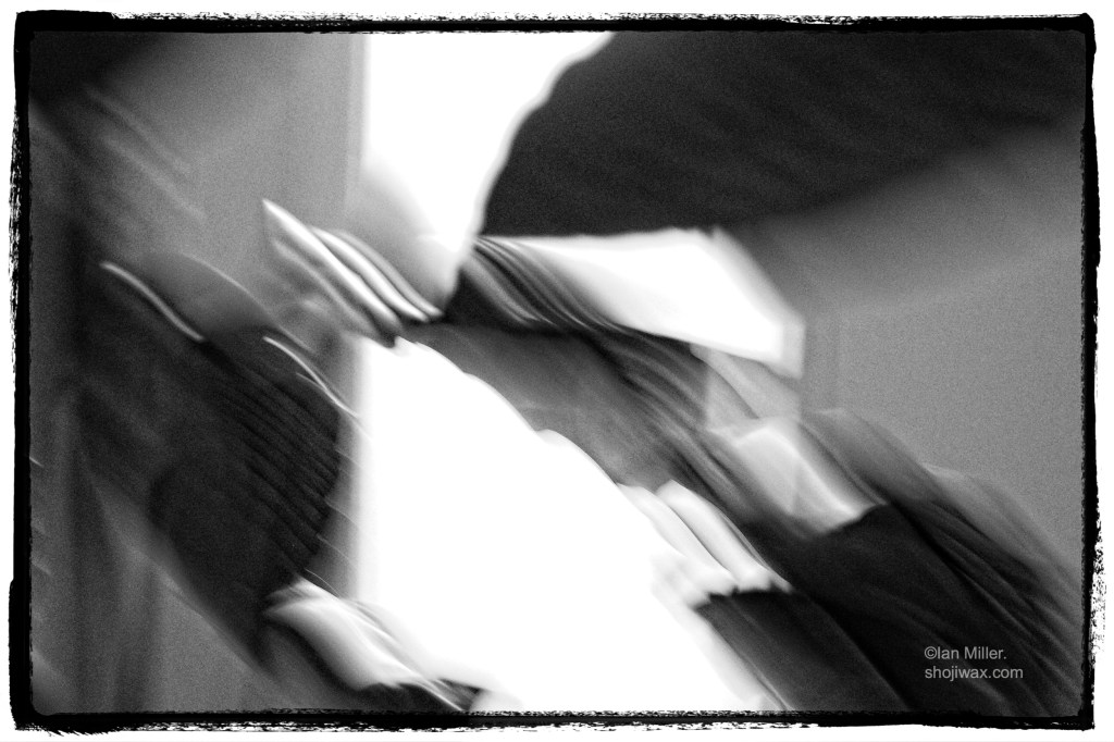 Monochrome long exposure, abstract shapes of pot plant in front of bright window.