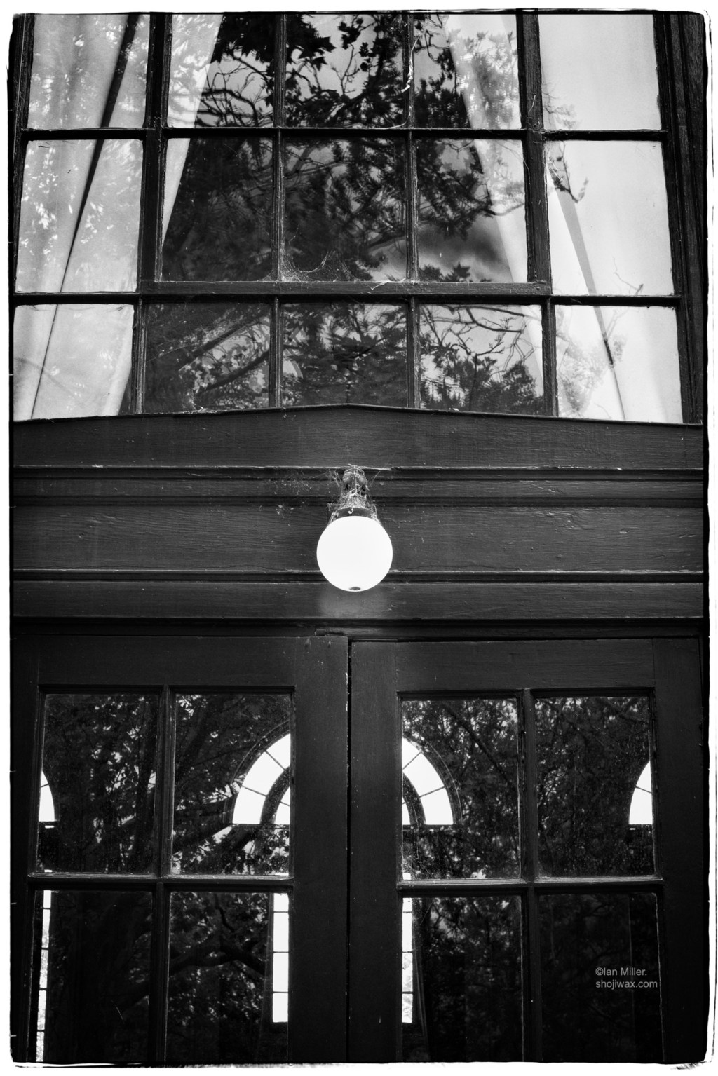 Monochrome photo of a set of windows. In the centre of the picture is a small round porchlight. Reflected in the windows are a large stand of gumtrees.