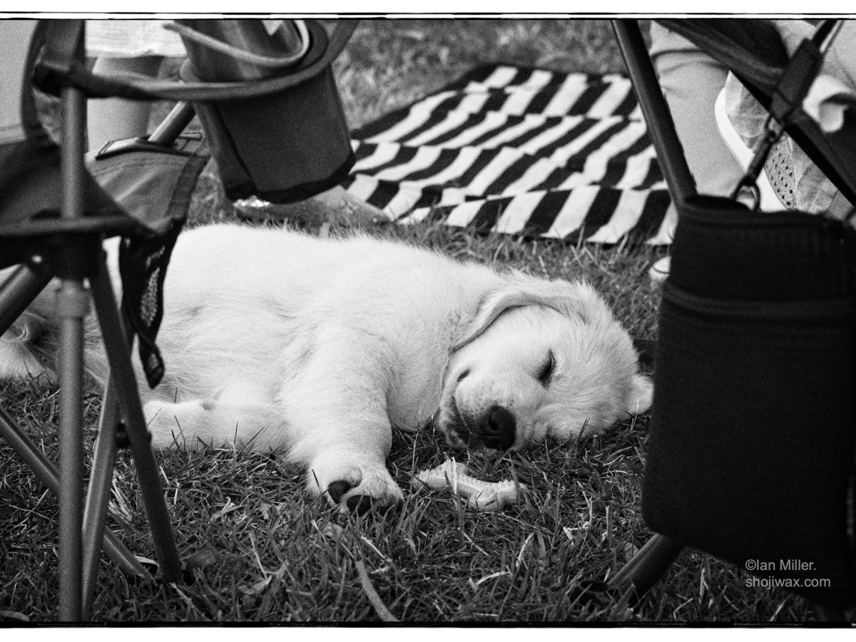 Big day for a good&nbsp;boy.