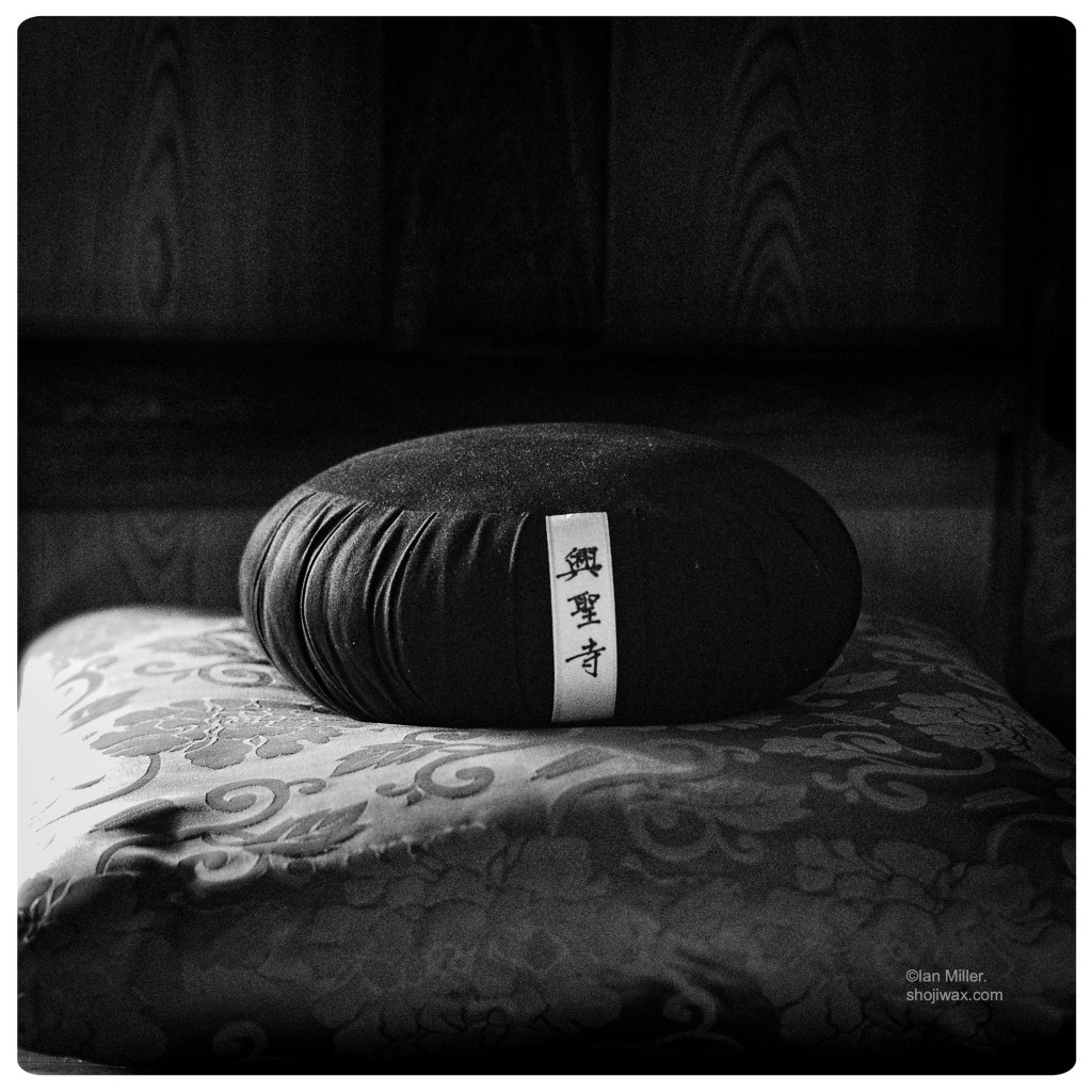 Monochrome photo of meditation cushion illuminated by a shaft of light.