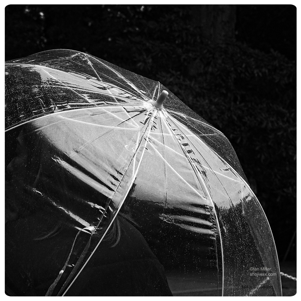 Under the gentle&nbsp;drum.