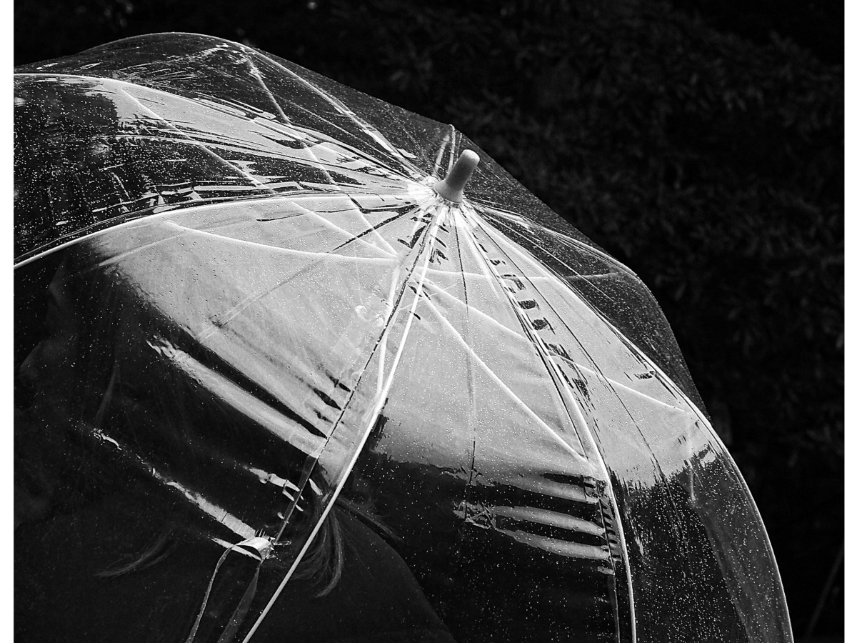 Under the gentle&nbsp;drum.