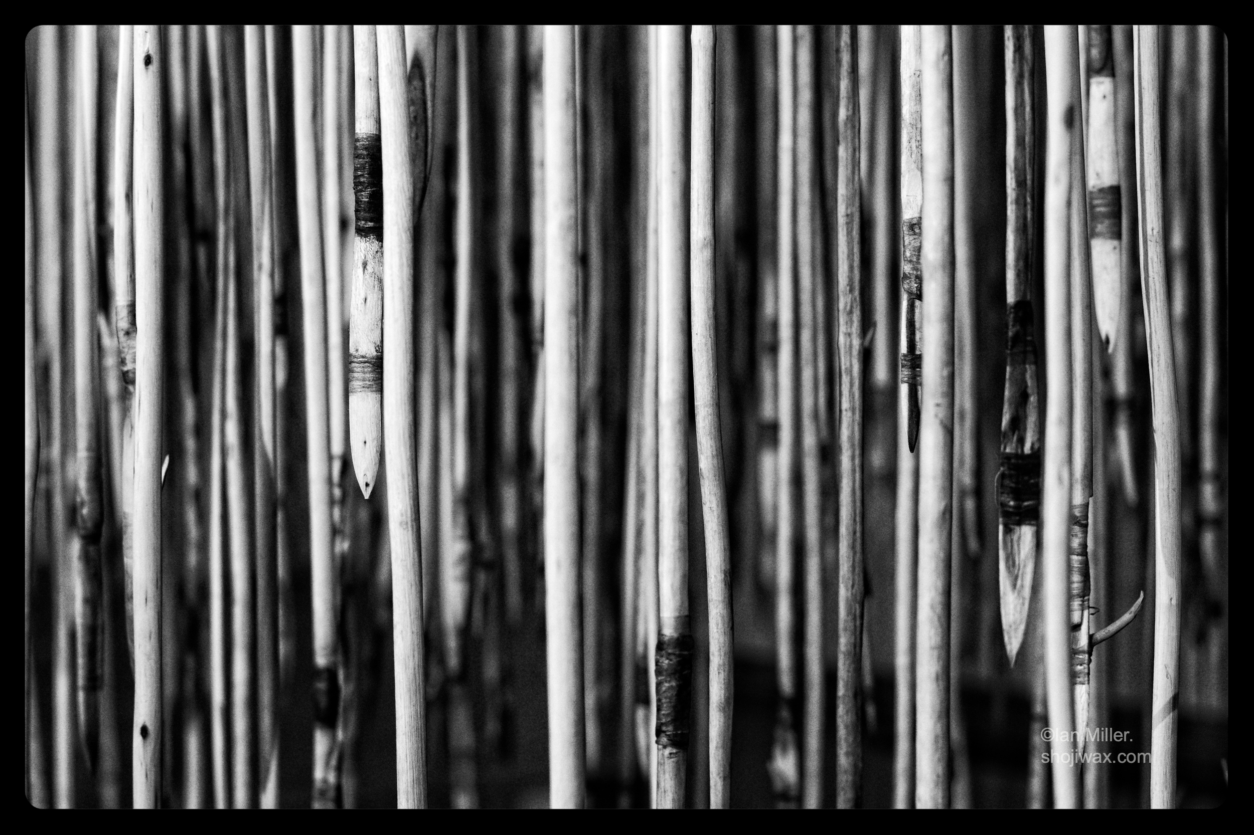 Monochrome photo of a multitude of think spears hanging from the ceiling.
