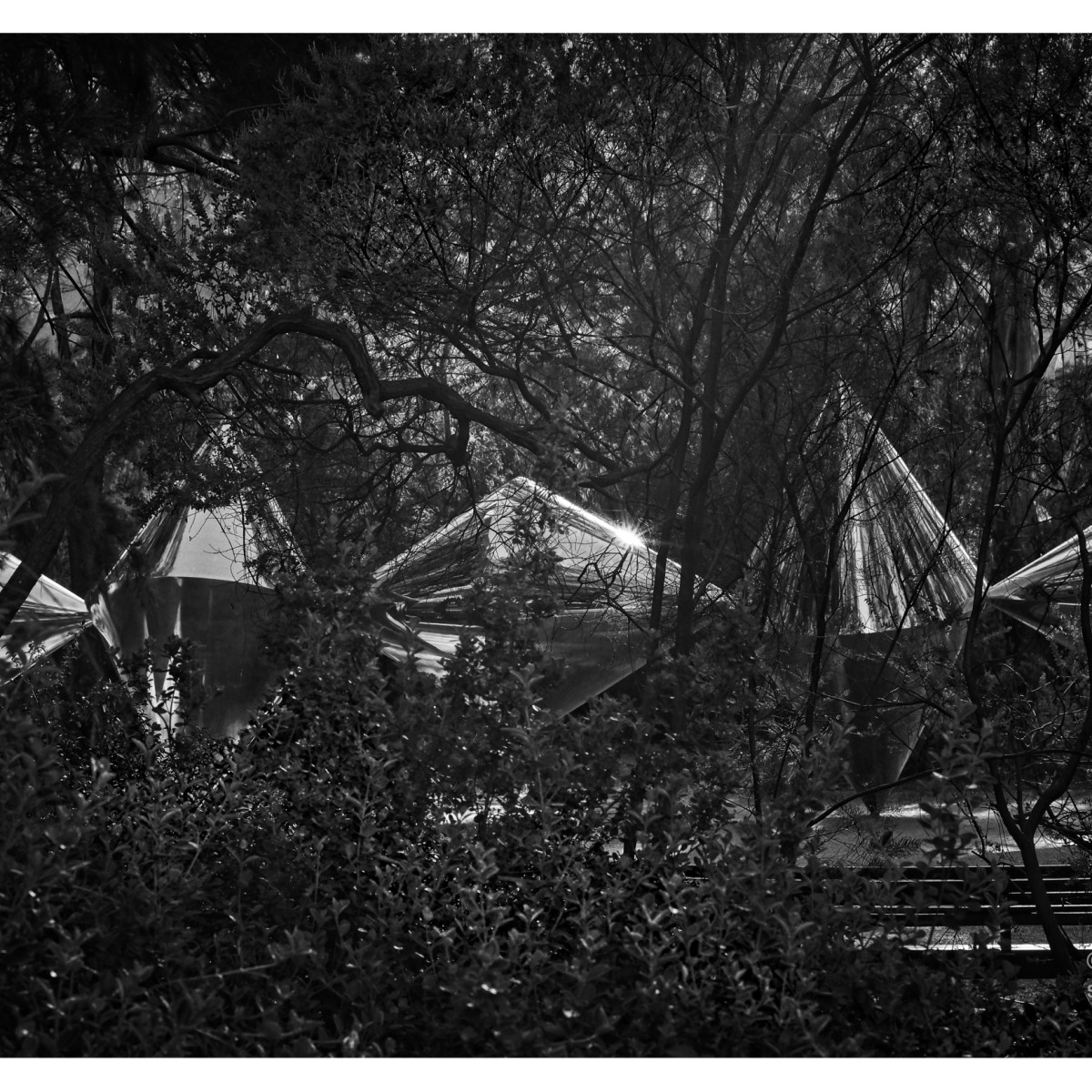 Late afternoon walk.