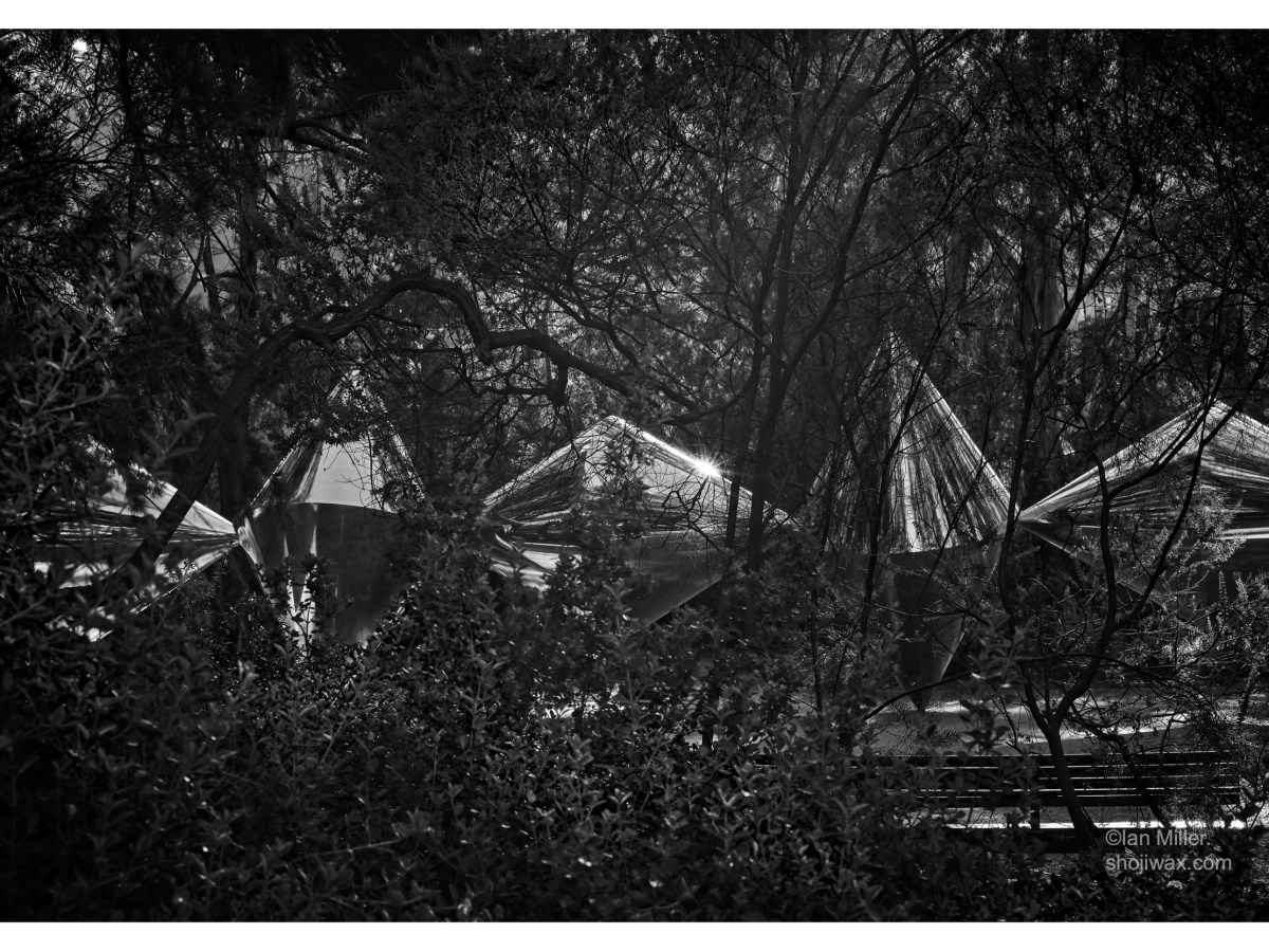 Late afternoon walk.