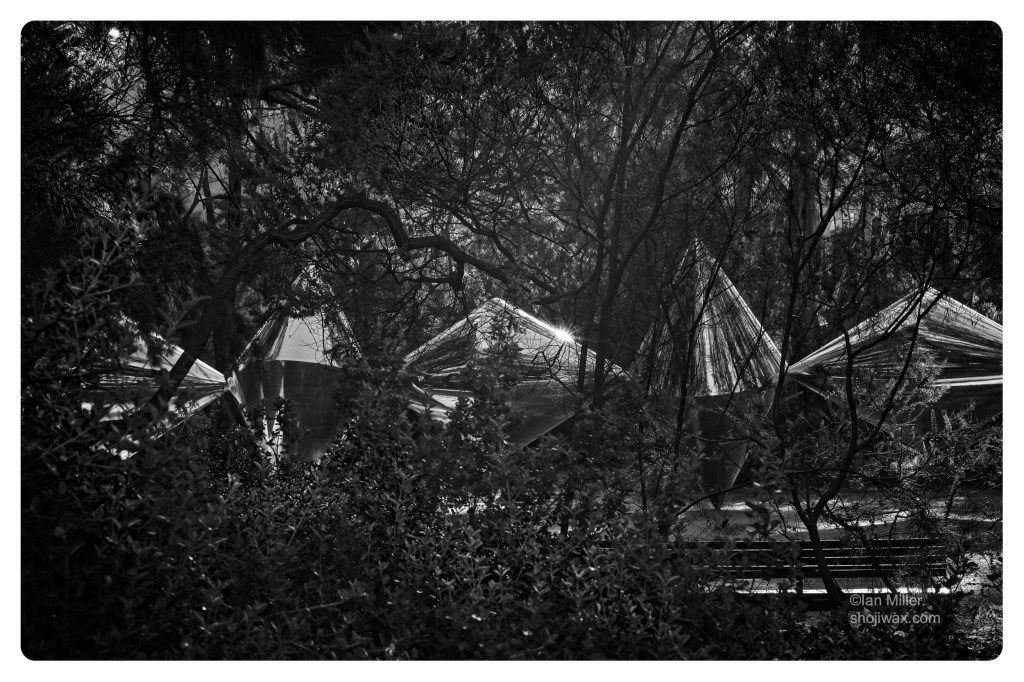 Monochrome photo of large metal sculpture seen through the trees.