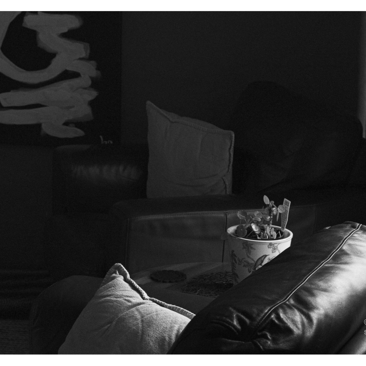 I am a photo journalist&nbsp;now.