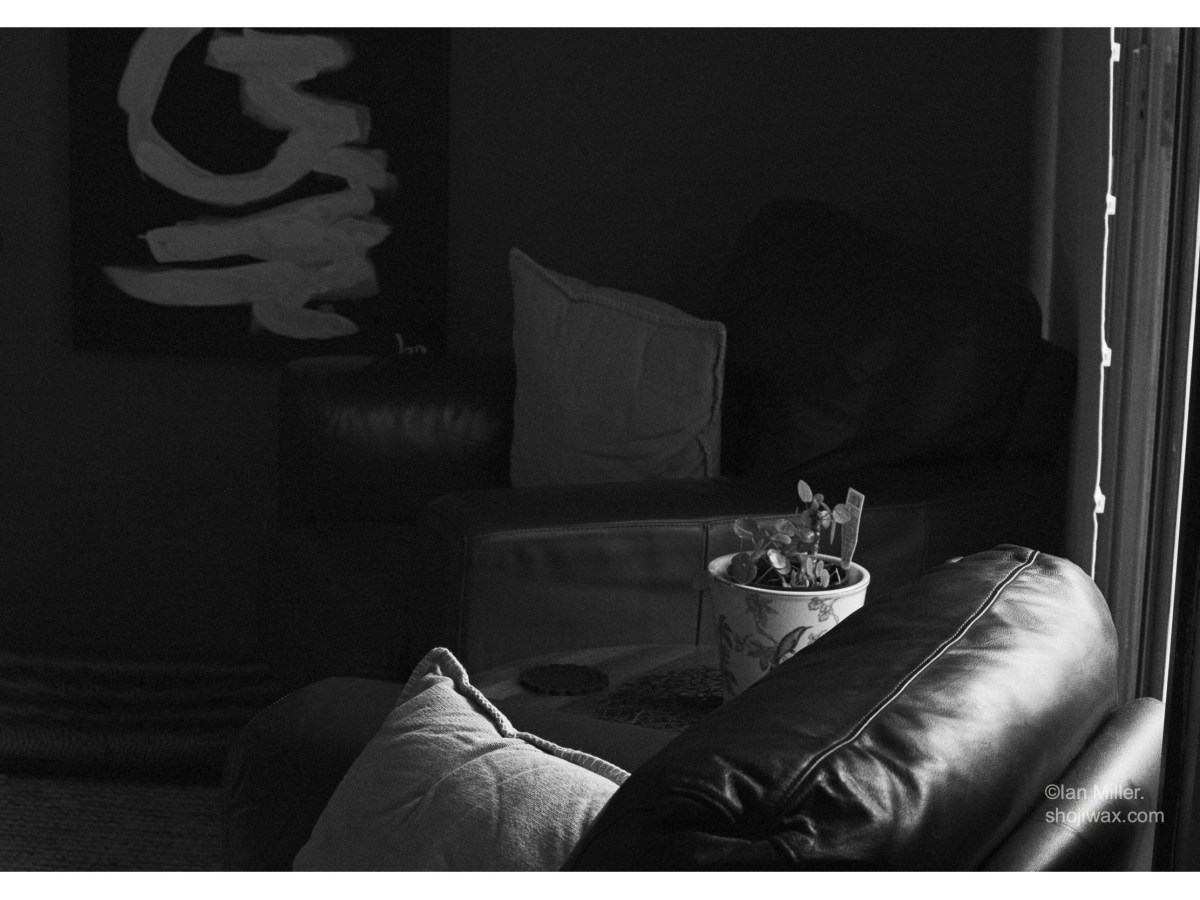 I am a photo journalist&nbsp;now.