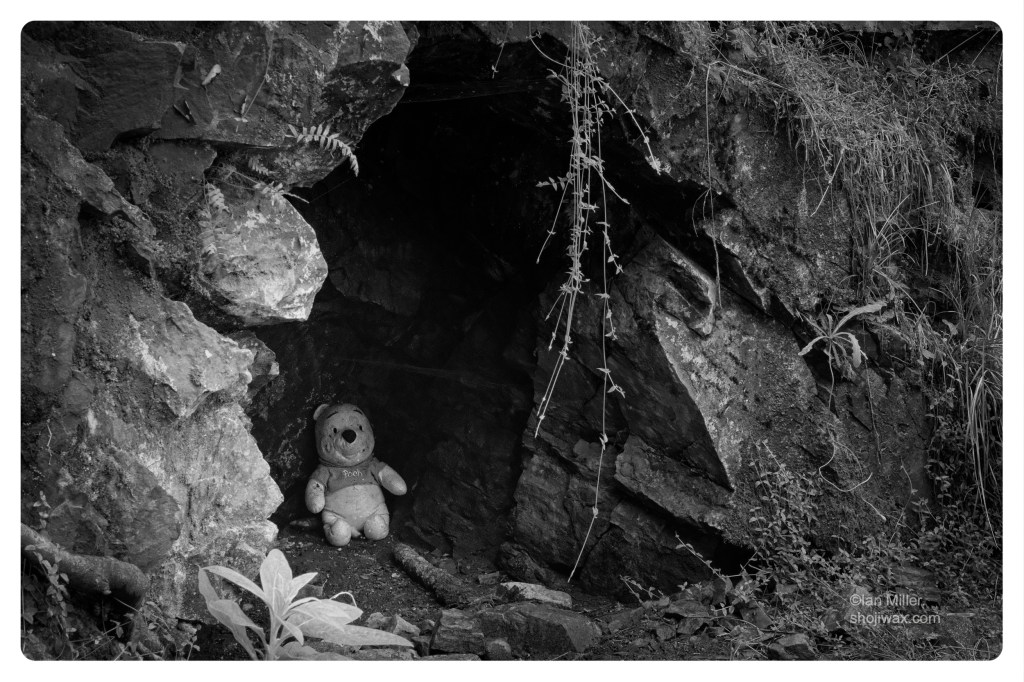 Monochrome photo of small stuffed Pooh bear toy sitting in a small cave amongst ferns.