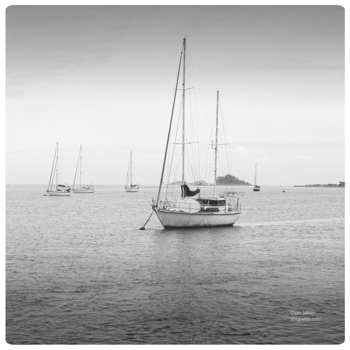 The salt in my&nbsp;attic.