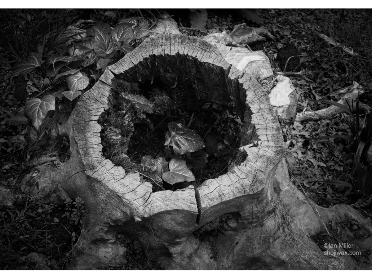 The circle of&nbsp;life.