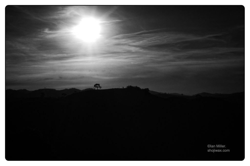 Dark monochrome photo of sunset behind hills. There is a silhouette of a small tree on top of one of the hills.