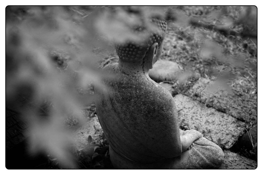 Monochrome photo of small concrete Buddha viewed from above. In the foreground the leaves of a maple tree are seen.