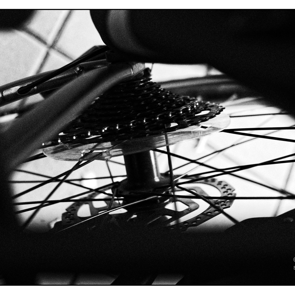 Sprocket.