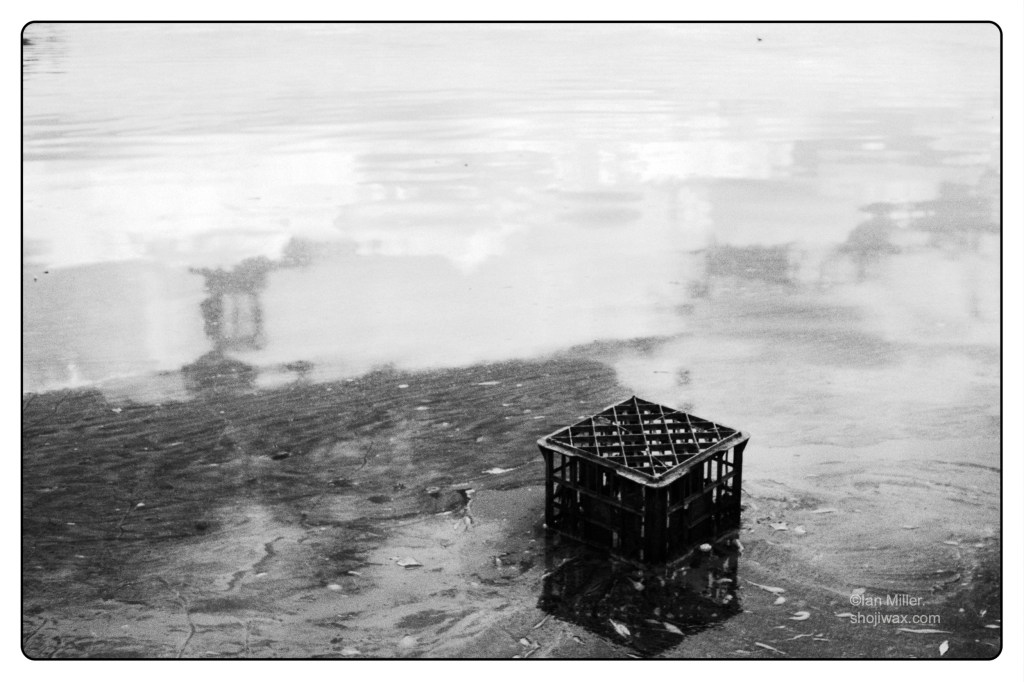 Monochrome photo of a milkcrate floating on a still lake.