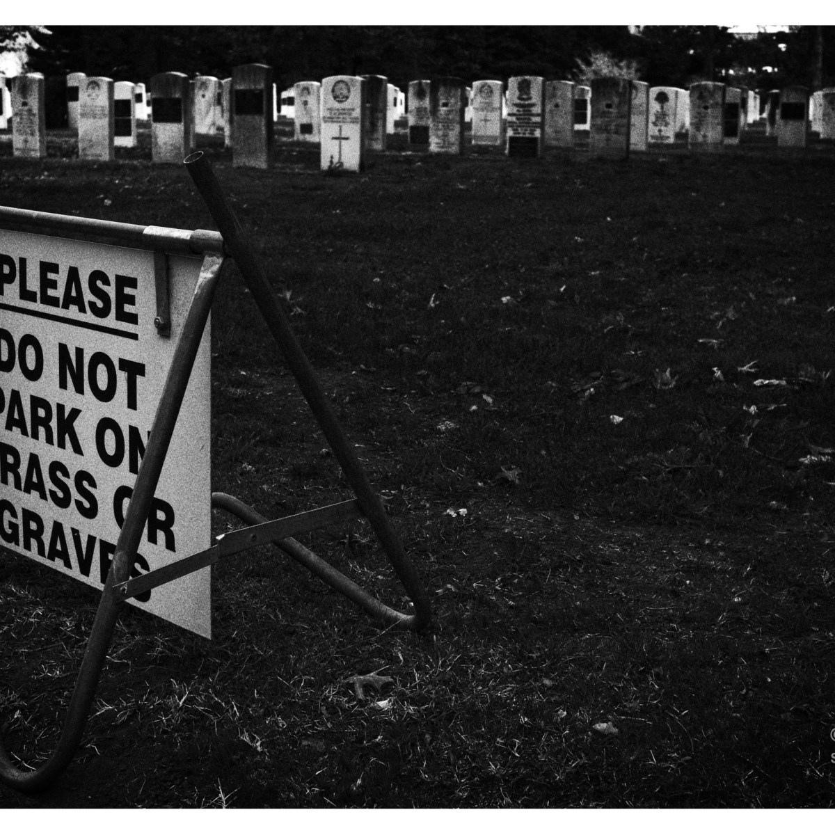 Grass or graves.