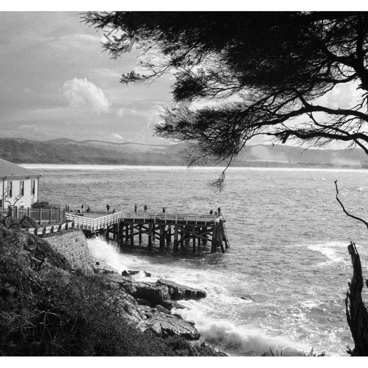 Tathra wharf.
