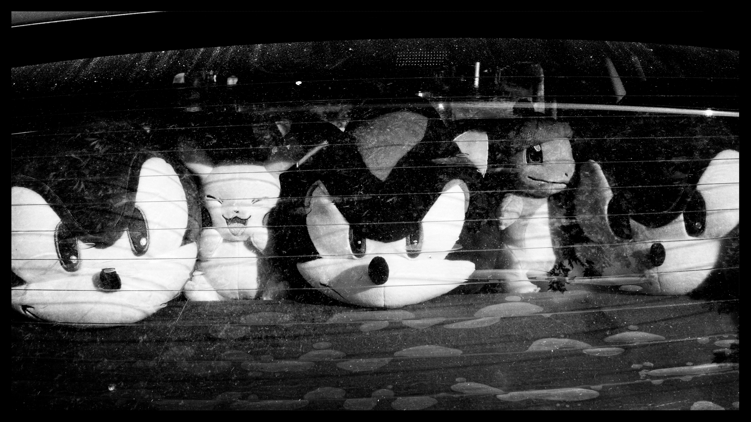 Guardians of the rear view.