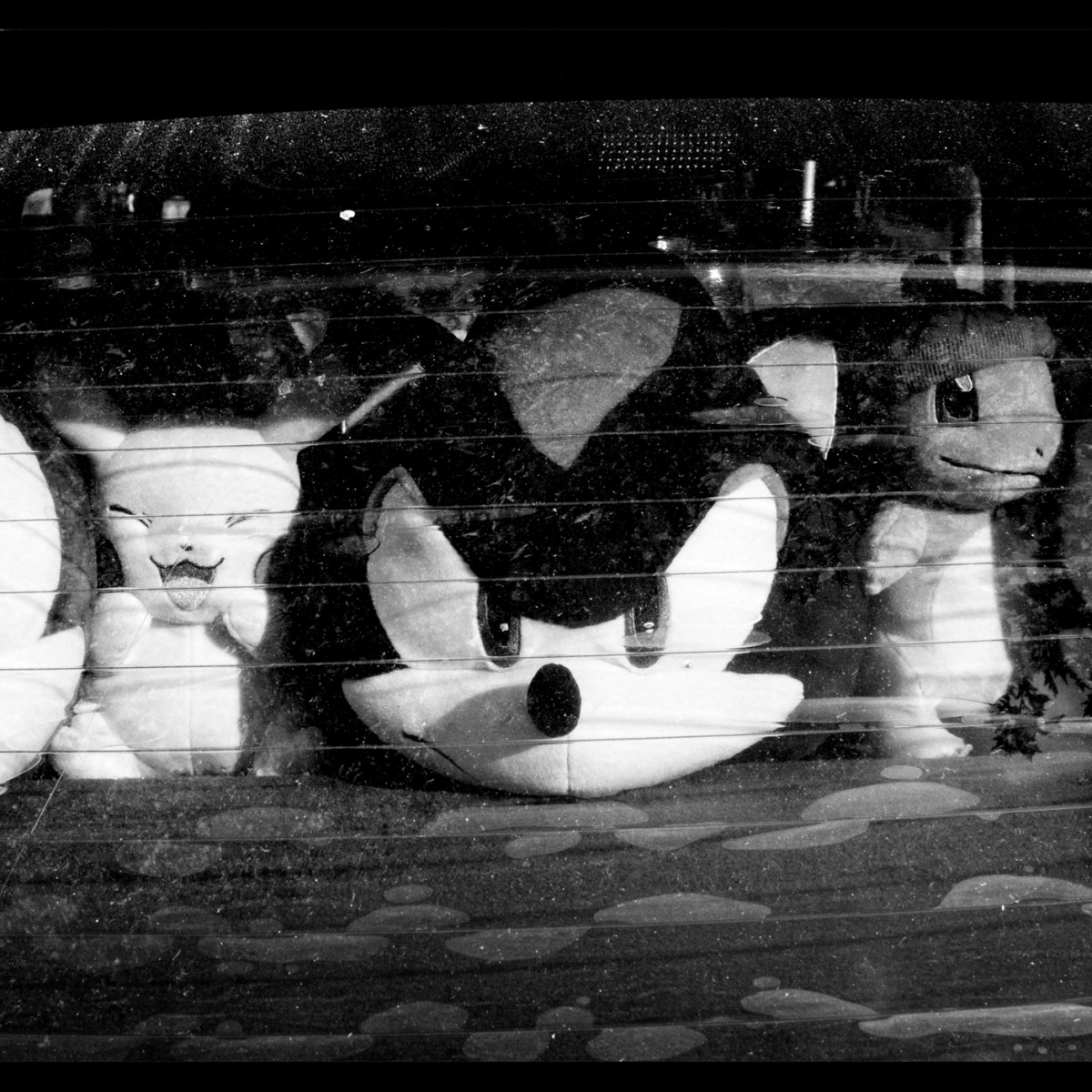 Guardians of the rear&nbsp;view.
