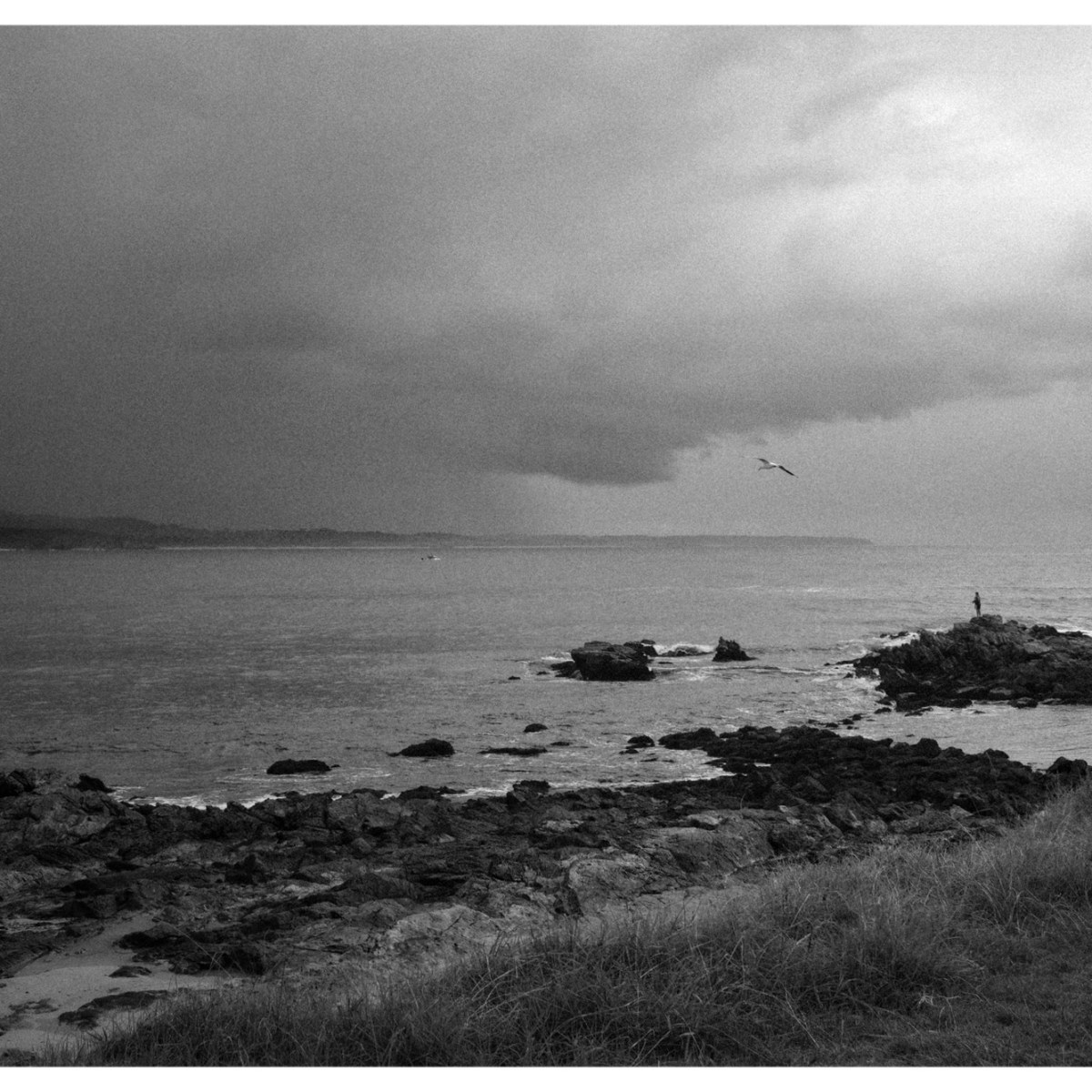 Sea spray gloom.