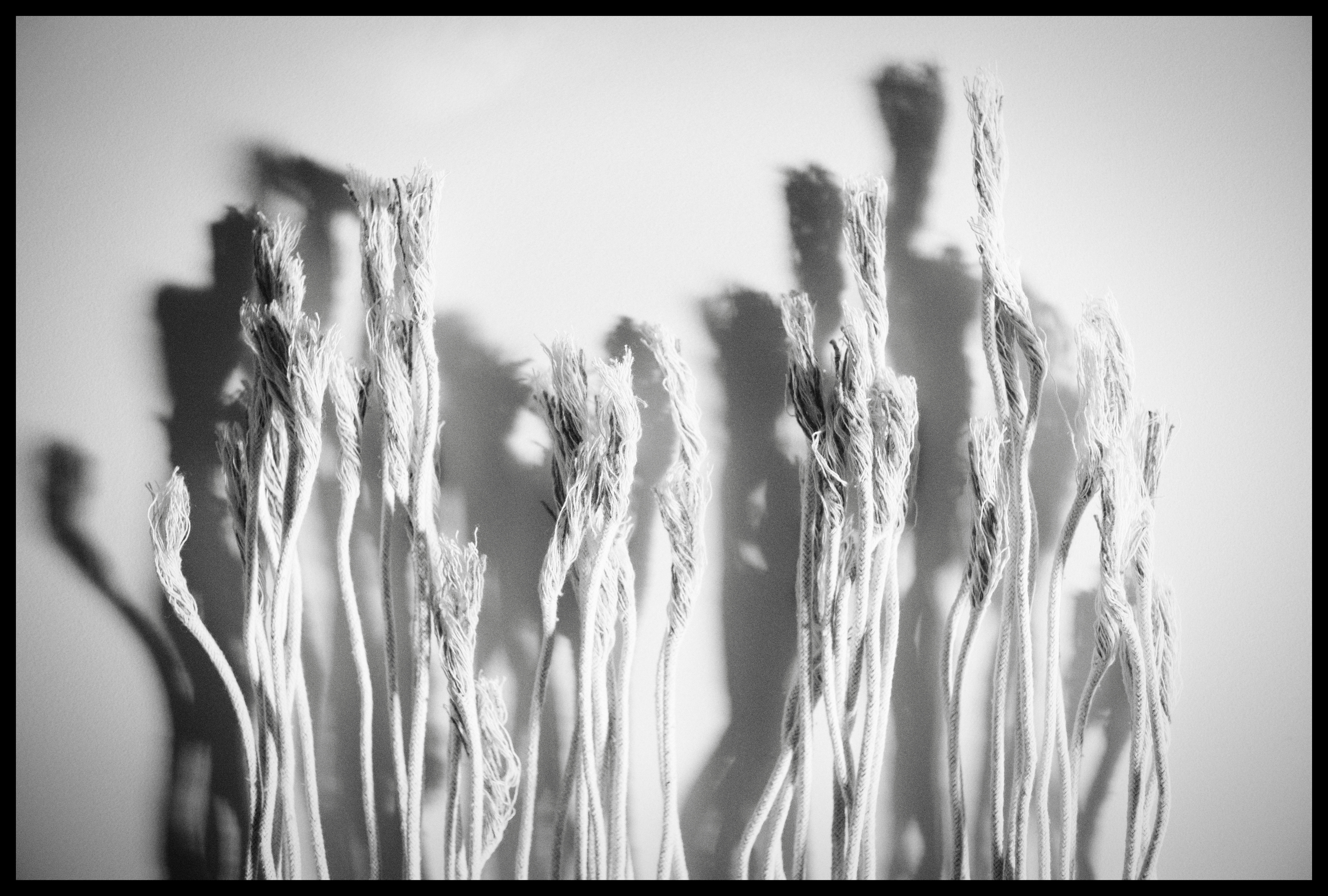 The second life of cotton