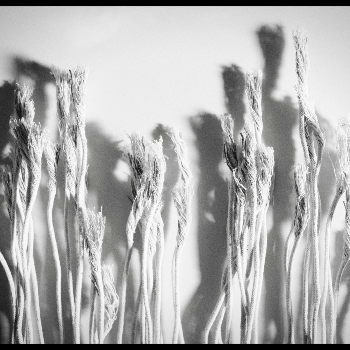The second life of&nbsp;cotton