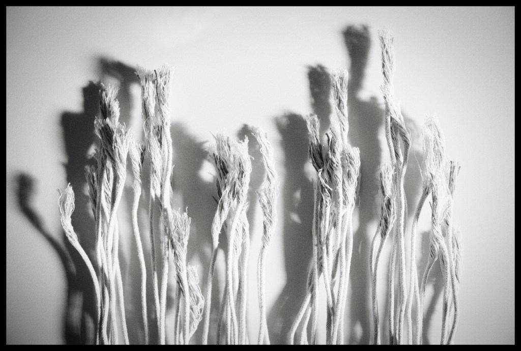 Monochrome inverted photo of strands of cotton from a macrame wall hanging.