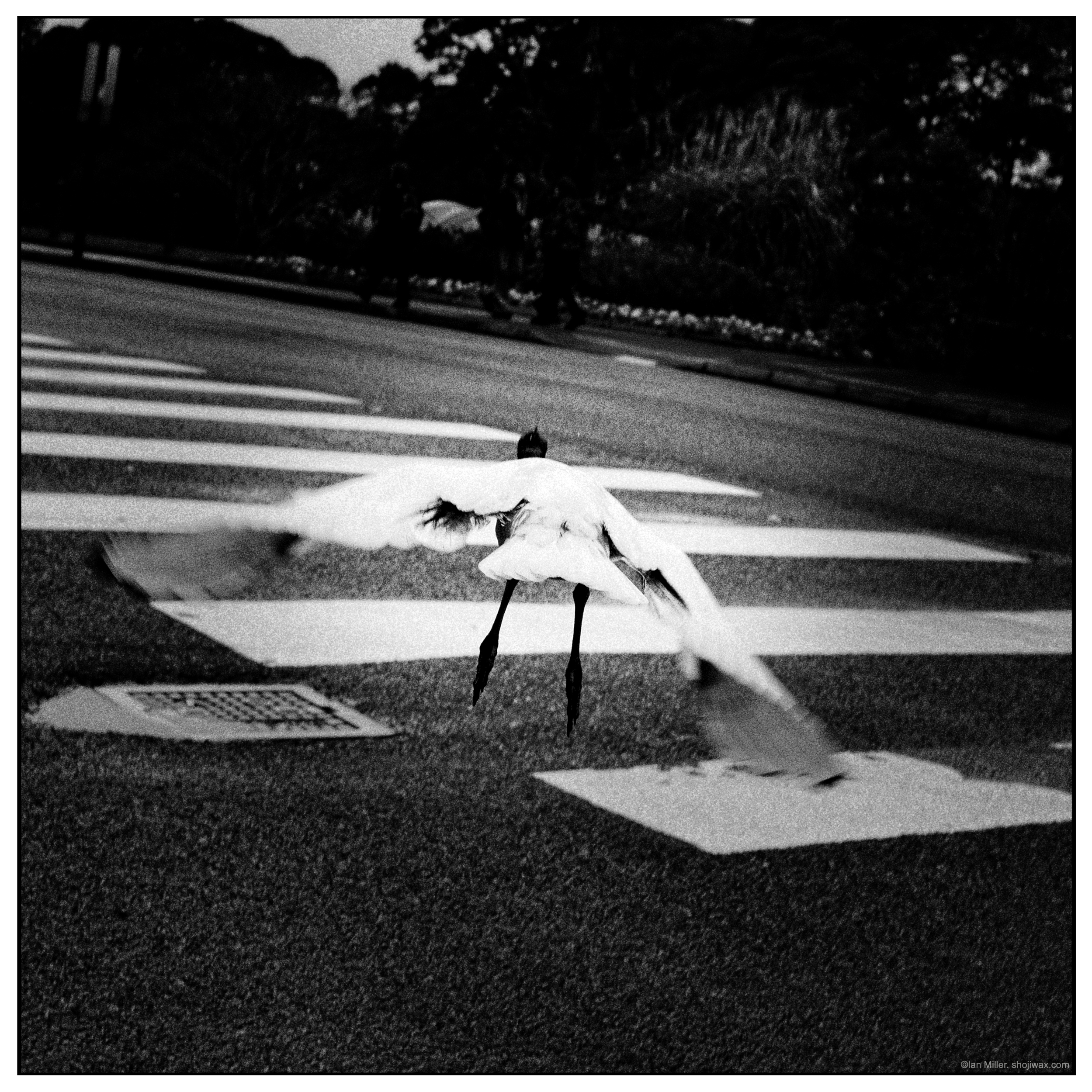 Crossing over.